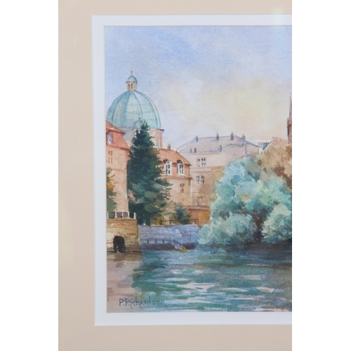 173 - WATERCOLOUR SIGNED P. RICHARDSON
55 X 47CM