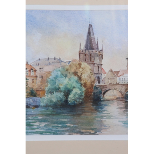 173 - WATERCOLOUR SIGNED P. RICHARDSON
55 X 47CM