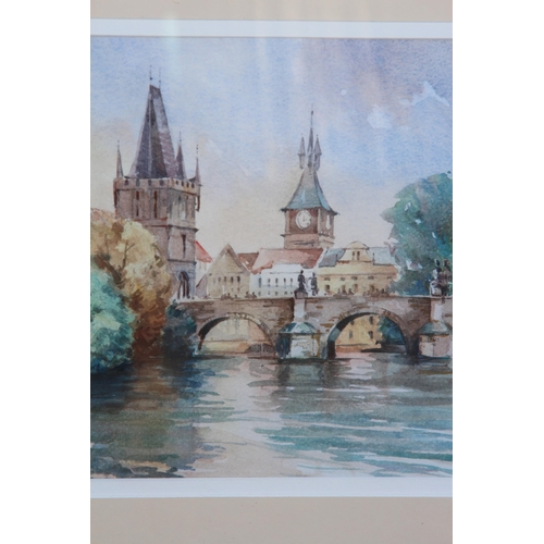 173 - WATERCOLOUR SIGNED P. RICHARDSON
55 X 47CM