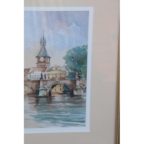 173 - WATERCOLOUR SIGNED P. RICHARDSON
55 X 47CM