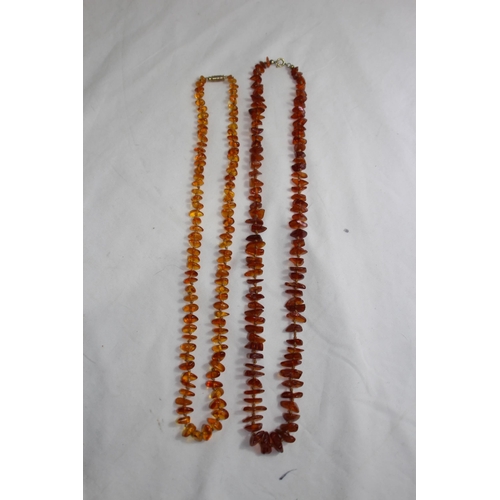 Lot 956       