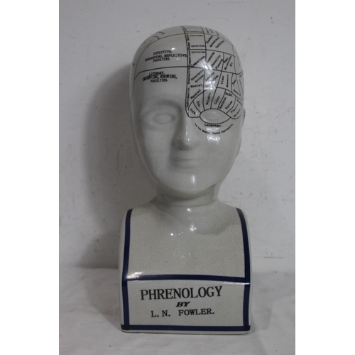 362 - LARGE PHRENOLOGY HEAD
40CM