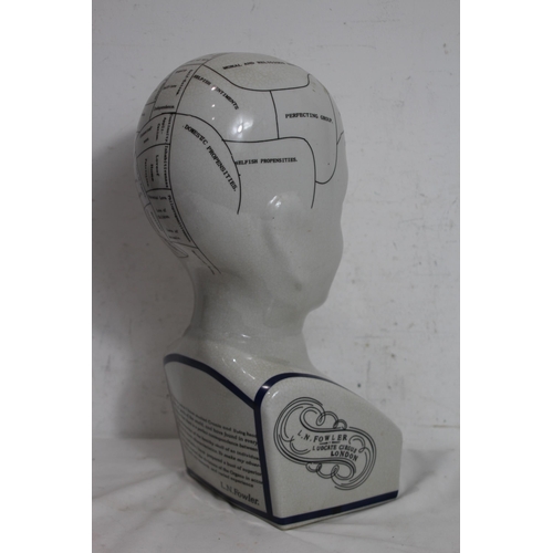 362 - LARGE PHRENOLOGY HEAD
40CM