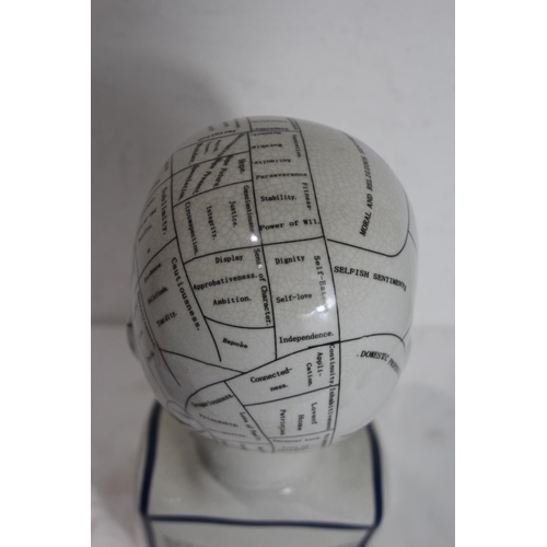 362 - LARGE PHRENOLOGY HEAD
40CM