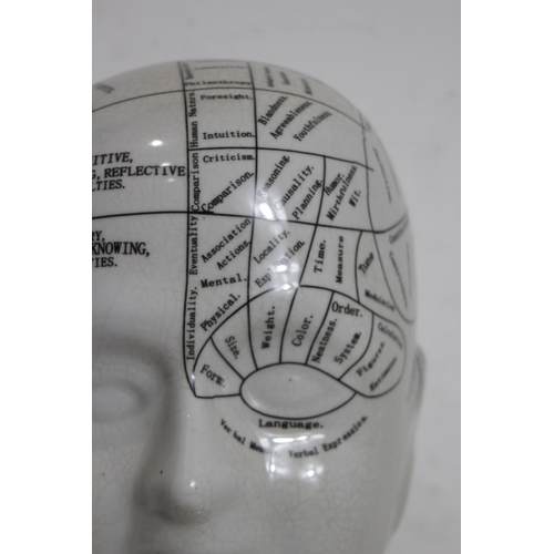 362 - LARGE PHRENOLOGY HEAD
40CM