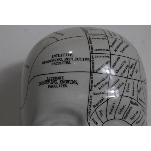 362 - LARGE PHRENOLOGY HEAD
40CM