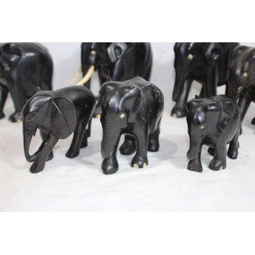 414 - QUANTITY OF VINTAGE EBONY ELEPHANTS x10
18CM