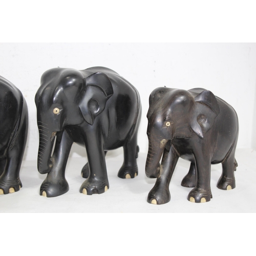 414 - QUANTITY OF VINTAGE EBONY ELEPHANTS x10
18CM