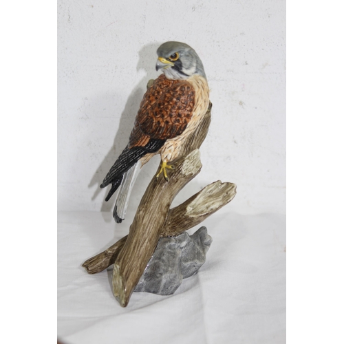 254 - QUANTITY OF J MACK WILD BIRD FIGURES x6
18CM