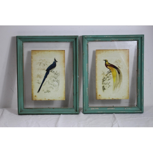 106 - 2 X FRAMED PICTURES OF EXOTIC BIRDS
46 X 36CM