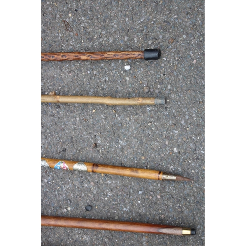 391 - LARGE QUANTITY OF WALKING STICKS x10