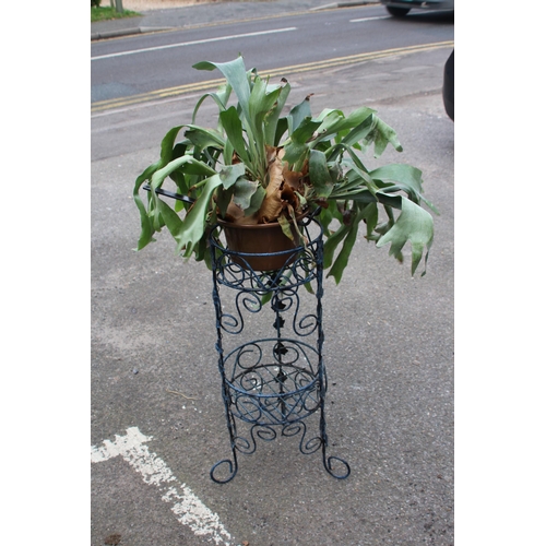 95 - DOUBLE METAL PLANT STAND WITH PLANT IN LARGE COPPER SAUCEPAN
77CM