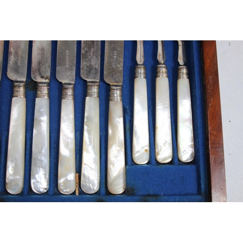 297 - BOXED OF MOTHER OF PEARL HANDLED FRUIT EATING SET