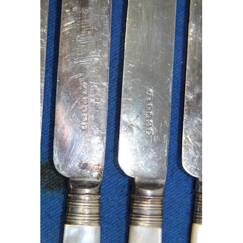 297 - BOXED OF MOTHER OF PEARL HANDLED FRUIT EATING SET