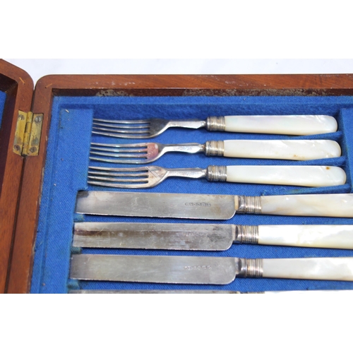 297 - BOXED OF MOTHER OF PEARL HANDLED FRUIT EATING SET