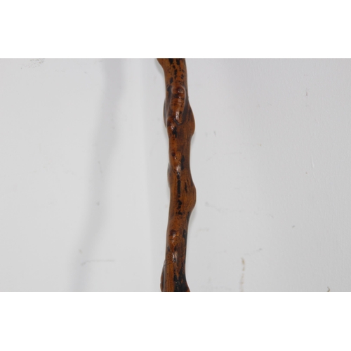 286 - ROOT FORM ANTIQUE WALKING STICK
86CM