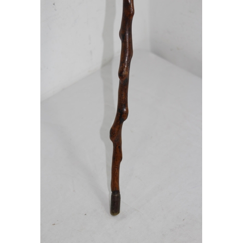 286 - ROOT FORM ANTIQUE WALKING STICK
86CM