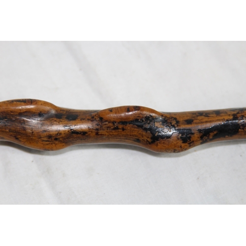 286 - ROOT FORM ANTIQUE WALKING STICK
86CM