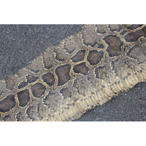 550 - ANTIQUE SNAKE SKIN
202CM