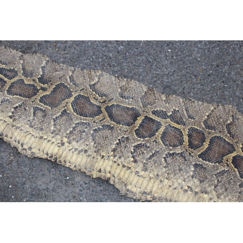 550 - ANTIQUE SNAKE SKIN
202CM