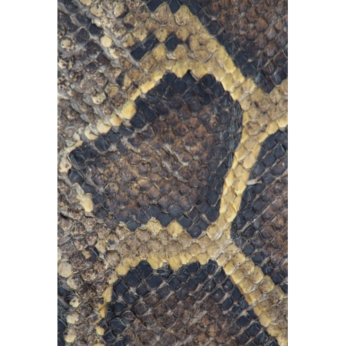 550 - ANTIQUE SNAKE SKIN
202CM