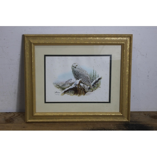 142 - LIMITED EDITION SNOWY OWL LITHOGRAPH BY DON BALKE
40 X 33CM