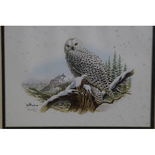 142 - LIMITED EDITION SNOWY OWL LITHOGRAPH BY DON BALKE
40 X 33CM