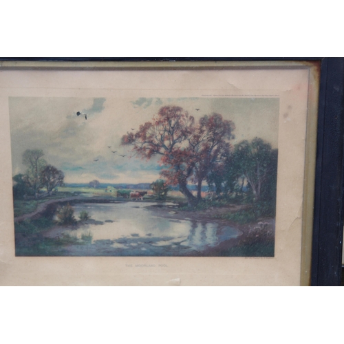 137 - QUANTITY OF VARIOUS PICTURES x12
68 X 52CM