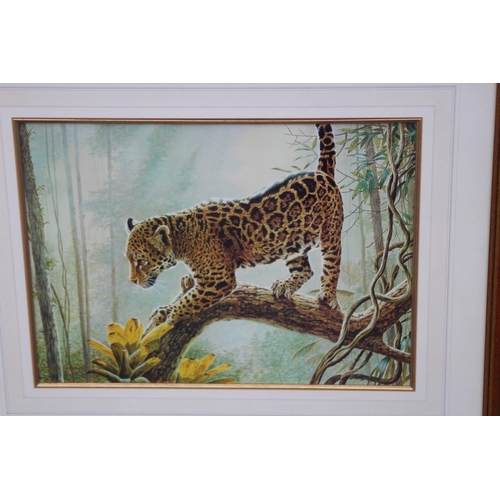 137 - QUANTITY OF VARIOUS PICTURES x12
68 X 52CM