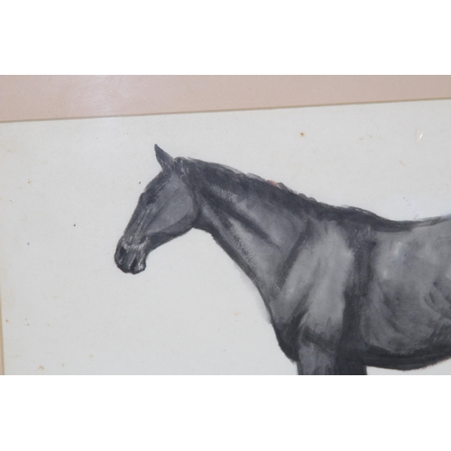 147 - ORIENTAL WATERCOLOUR OF A HORSE 
50 X 36CM