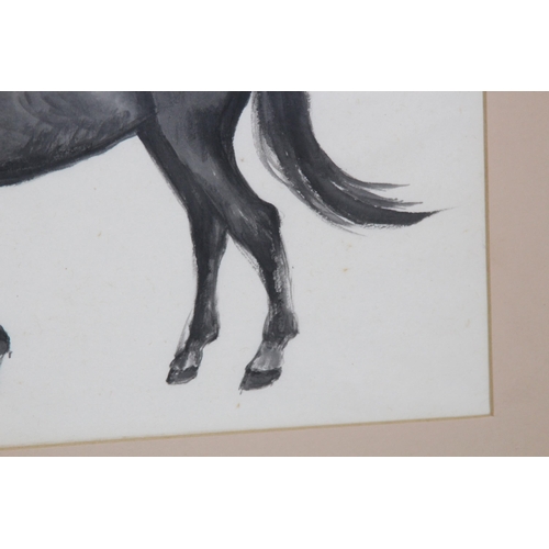 147 - ORIENTAL WATERCOLOUR OF A HORSE 
50 X 36CM