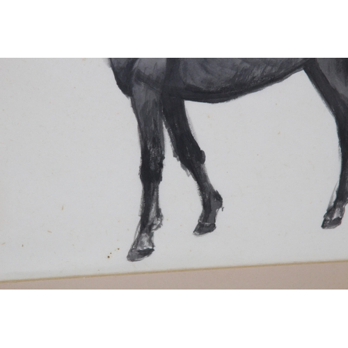 147 - ORIENTAL WATERCOLOUR OF A HORSE 
50 X 36CM