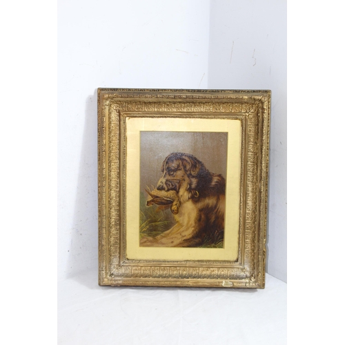171 - TWO GILT PLASTER FRAMED PICTURES OF DOGS