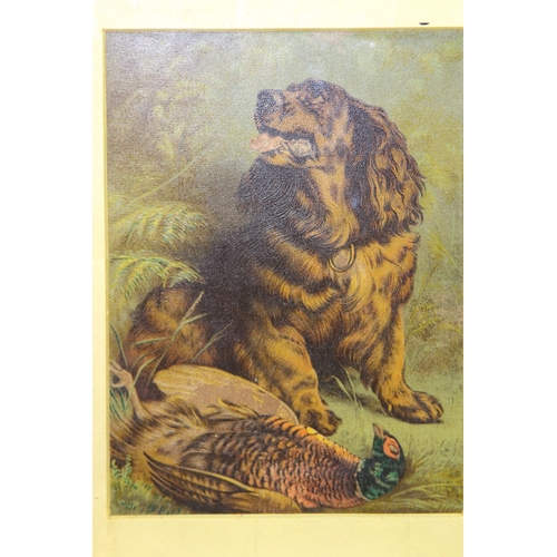 171 - TWO GILT PLASTER FRAMED PICTURES OF DOGS