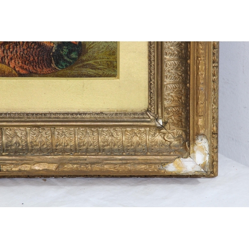 171 - TWO GILT PLASTER FRAMED PICTURES OF DOGS