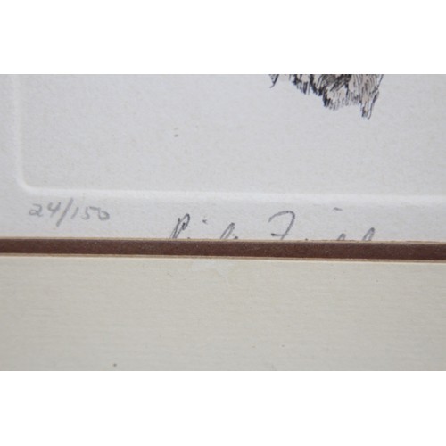 132 - LIMITED EDITION ETHCHING OF OWL 1978 AND TAWNY OWL COLLEGE 1976
65 X 48CM