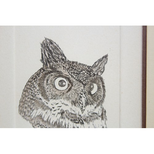 132 - LIMITED EDITION ETHCHING OF OWL 1978 AND TAWNY OWL COLLEGE 1976
65 X 48CM