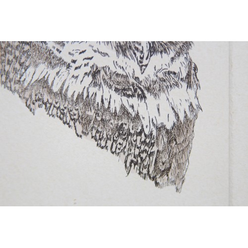 132 - LIMITED EDITION ETHCHING OF OWL 1978 AND TAWNY OWL COLLEGE 1976
65 X 48CM