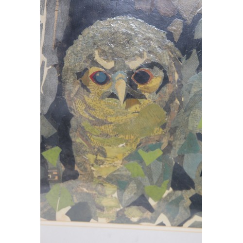 132 - LIMITED EDITION ETHCHING OF OWL 1978 AND TAWNY OWL COLLEGE 1976
65 X 48CM