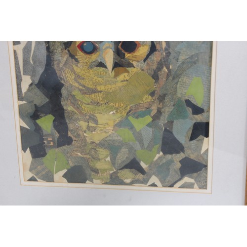 132 - LIMITED EDITION ETHCHING OF OWL 1978 AND TAWNY OWL COLLEGE 1976
65 X 48CM