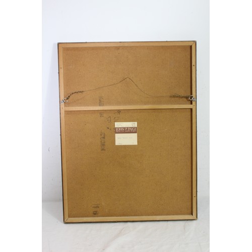 132 - LIMITED EDITION ETHCHING OF OWL 1978 AND TAWNY OWL COLLEGE 1976
65 X 48CM