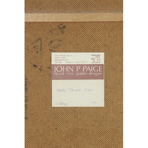 132 - LIMITED EDITION ETHCHING OF OWL 1978 AND TAWNY OWL COLLEGE 1976
65 X 48CM