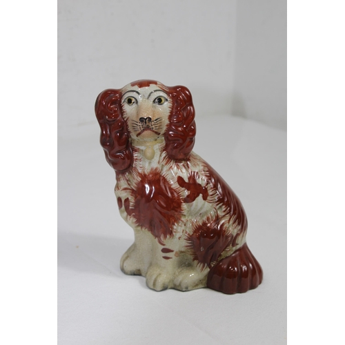 859 - PAIR OF STAFFORDSHIRE DOGS 
19CM