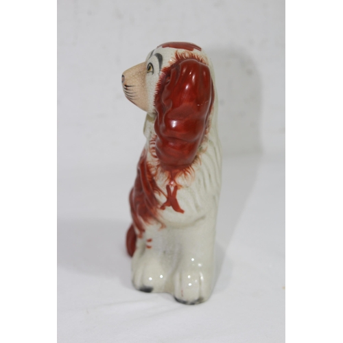 859 - PAIR OF STAFFORDSHIRE DOGS 
19CM