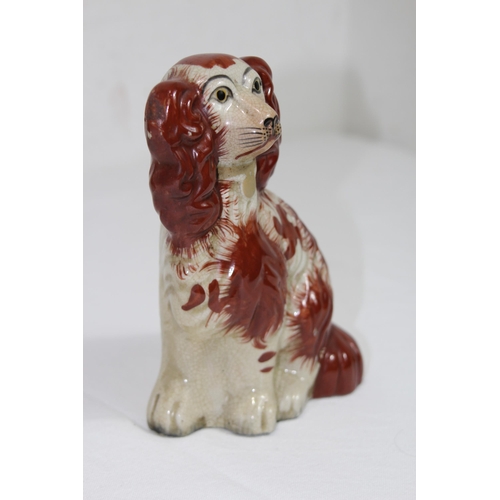 859 - PAIR OF STAFFORDSHIRE DOGS 
19CM