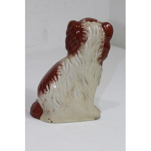 859 - PAIR OF STAFFORDSHIRE DOGS 
19CM