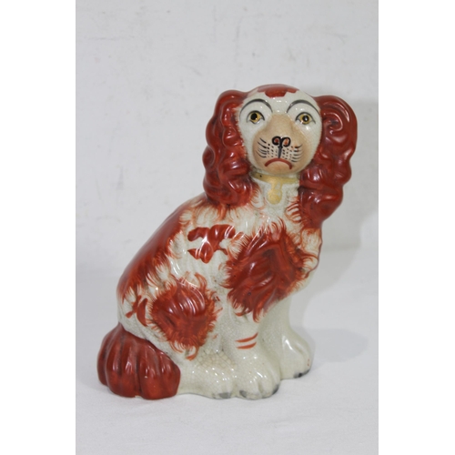 859 - PAIR OF STAFFORDSHIRE DOGS 
19CM