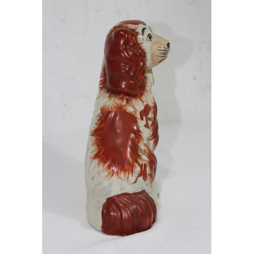 859 - PAIR OF STAFFORDSHIRE DOGS 
19CM