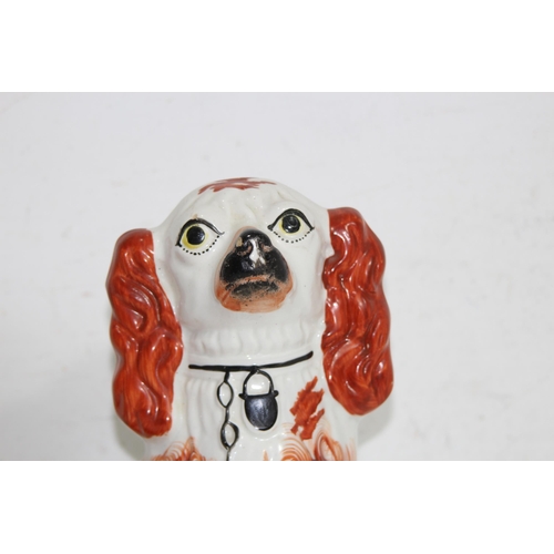 860 - LARGE STAFFORDSHIRE DOG
31CM