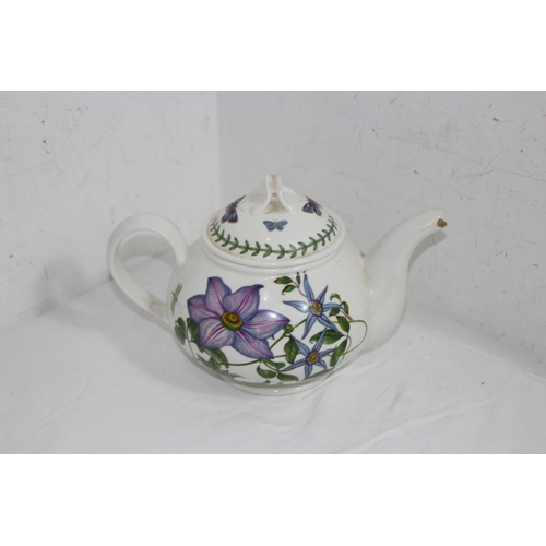 307 - PORTMEIRION TEAPOT AND PLANE TEAPOT